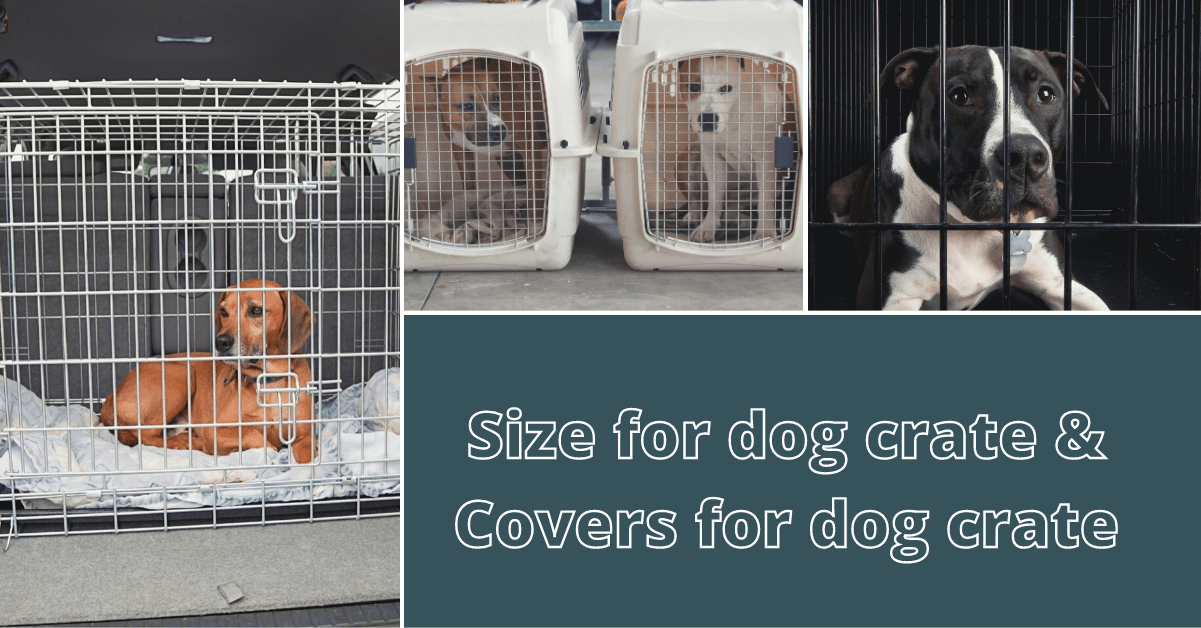 Dog Crate Size Which Dog Crate is Best praktikotips