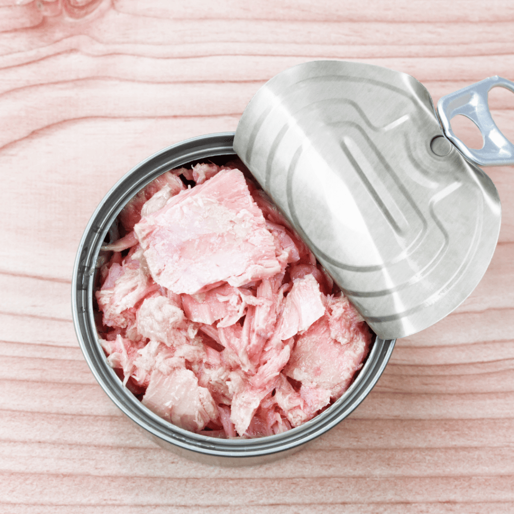 fat burn food - tuna