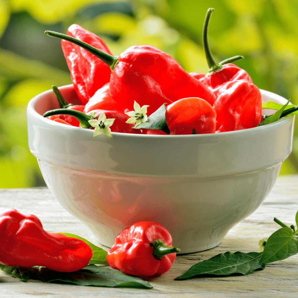 fat burn food - hot pepper