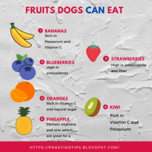 fruits can eat