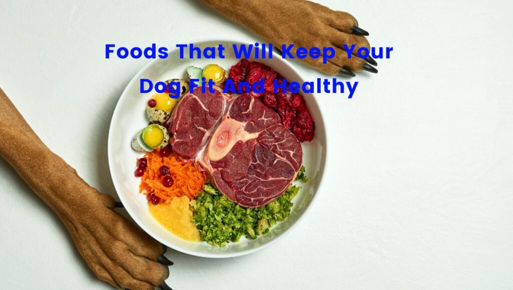 foods good for dogs