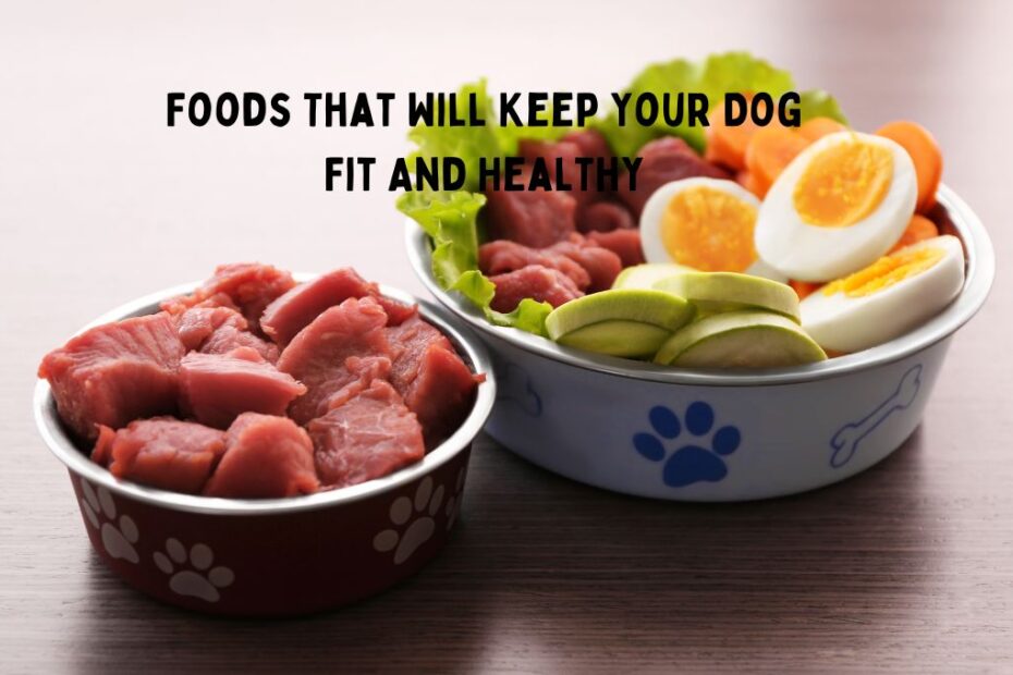 foods good for dogs