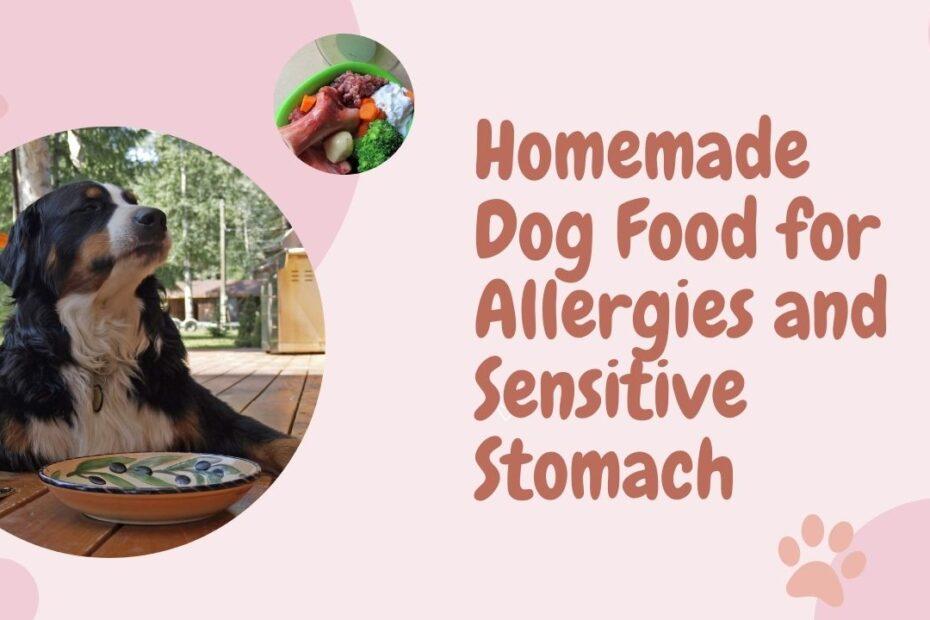 Homemade Dog Food for Allergies and Sensitive Stomach