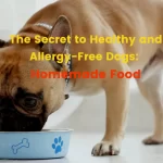 Homemade food for dogs