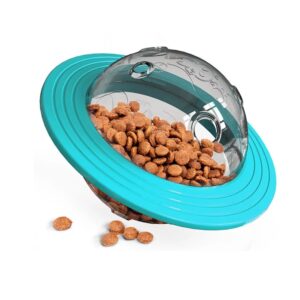 Food dispenser for dog