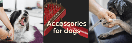 Accessories for dogs