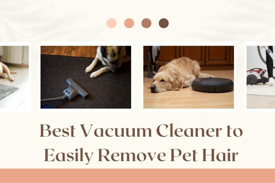 Vacuum Cleaner to Easily Remove Pet Hair
