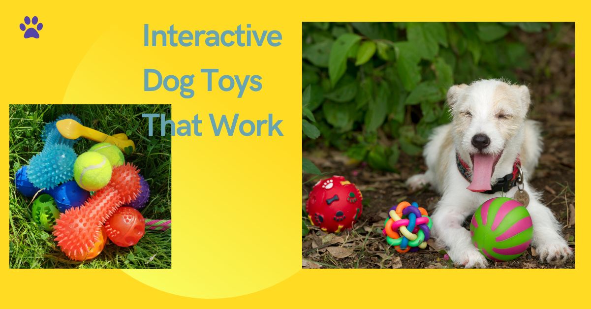 Interactive Dog Toys That Work