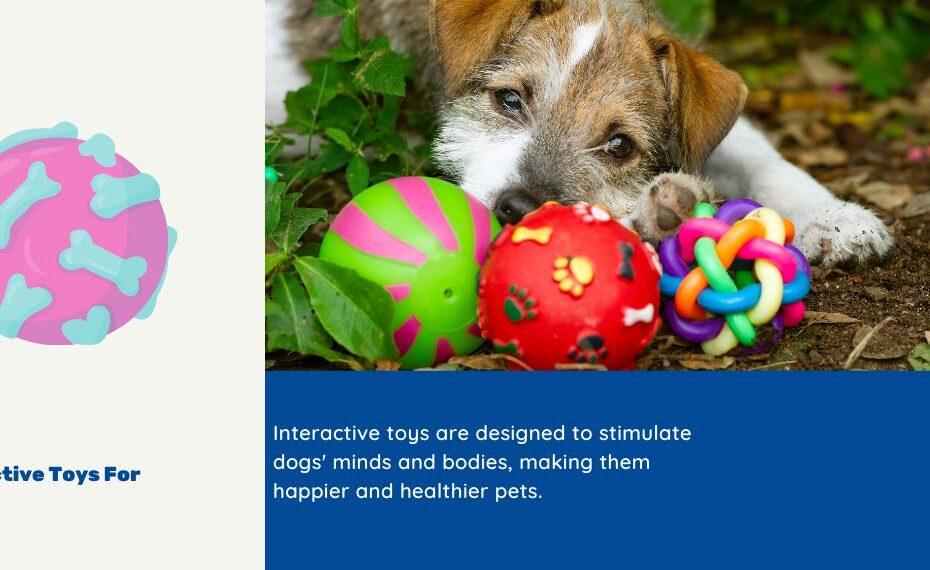 Interactive Toys For Dogs