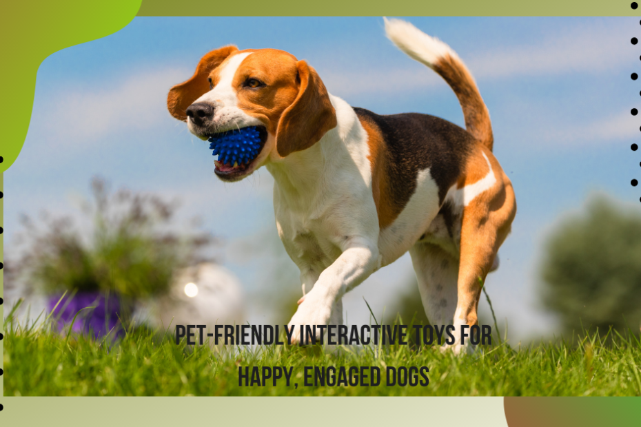 interactive toys for dogs