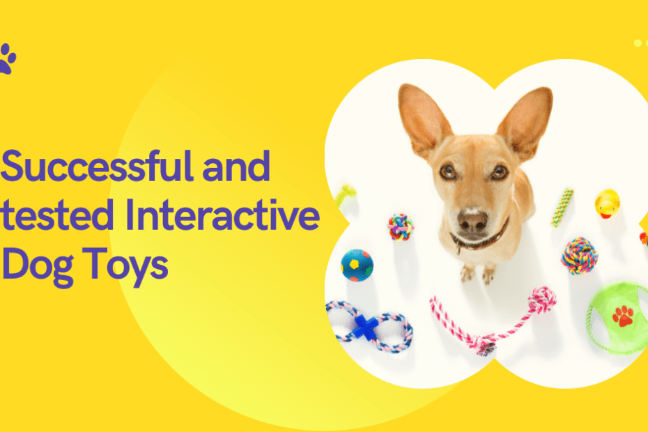 Successful and tested Interactive Dog Toy