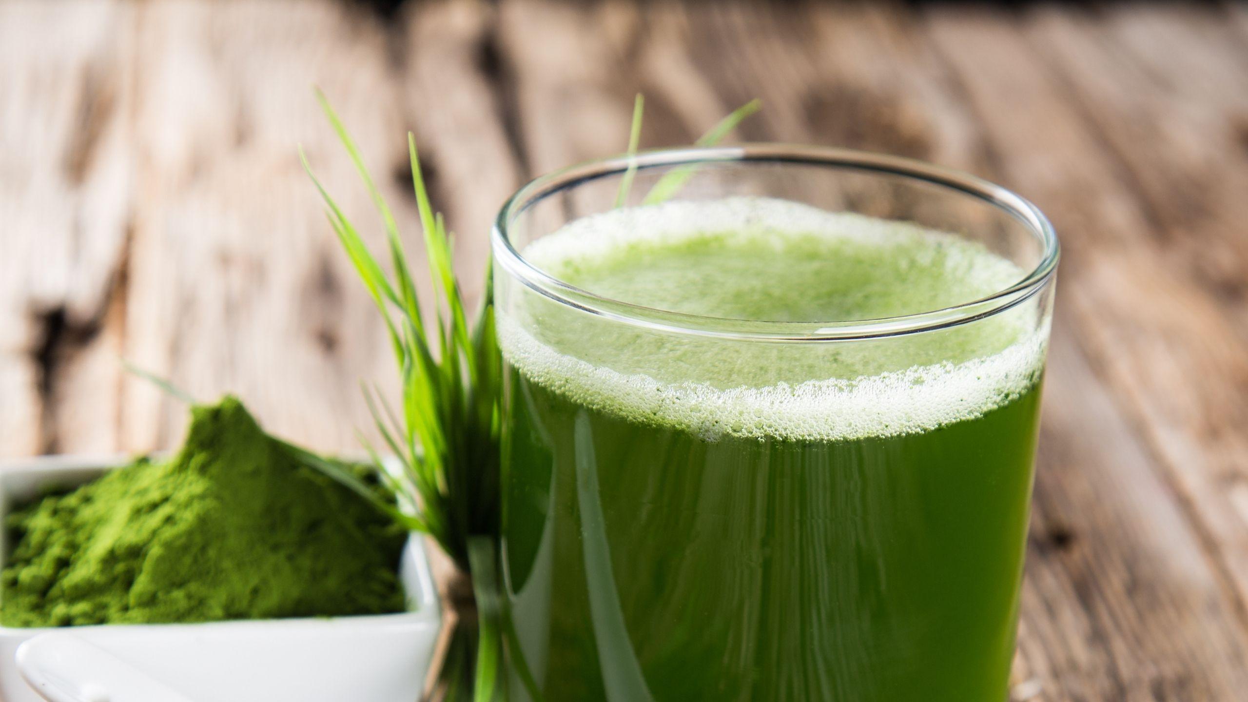 Green Smoothies To Lose Weight