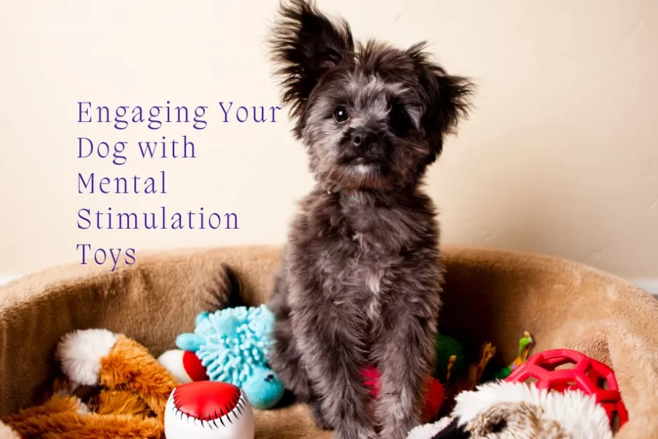 mental stimulation for dogs