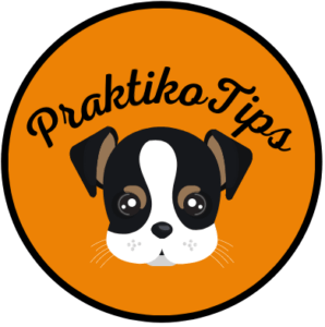 praktikotips logo