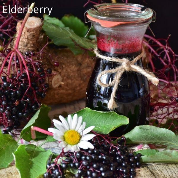 <span class="uc_style_uc_tiles_grid_image_elementor_uc_items_attribute_title" style="color:#ffffff;">elderberry</span>