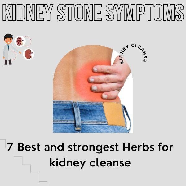 surgery for kidney stones