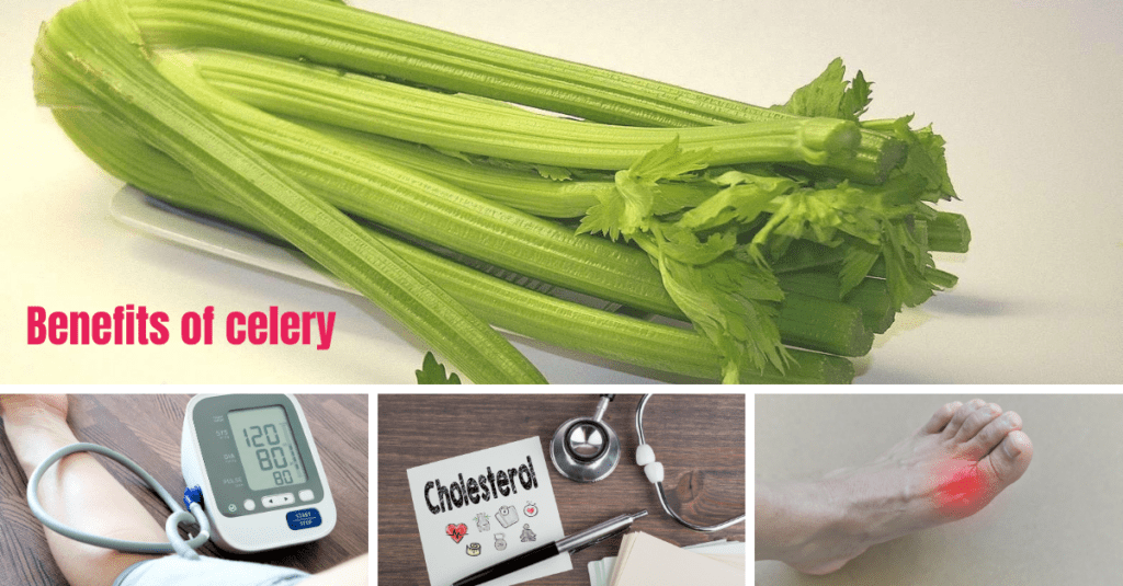 Does celery have carbs and why it is to eat every day?