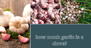 how much garlic is a clove