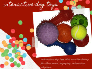 brain games for dogs interactive dog toys