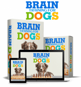 Brain Training for dogs