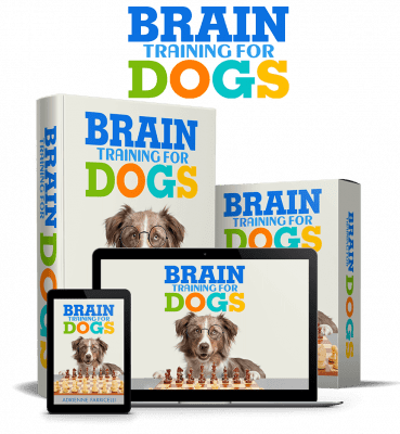 Brain Training for dogs