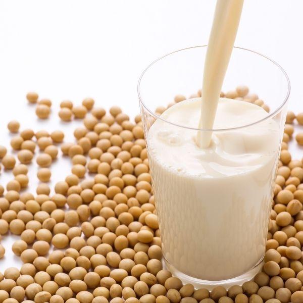 Soy Milk - Vegan Diet Lose Weight