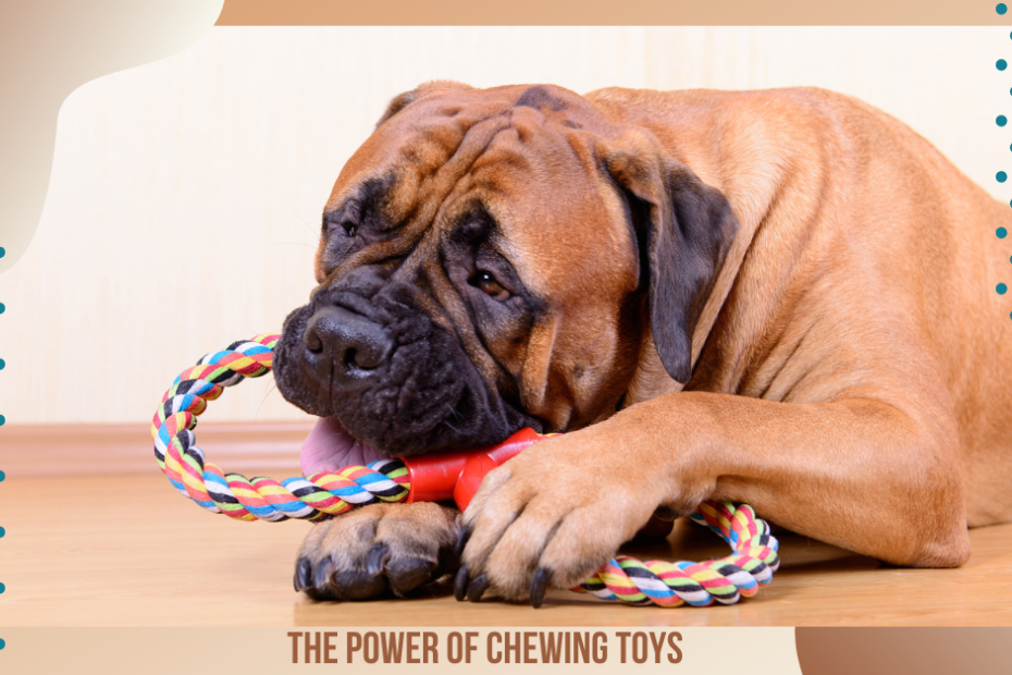 Chewing Toys