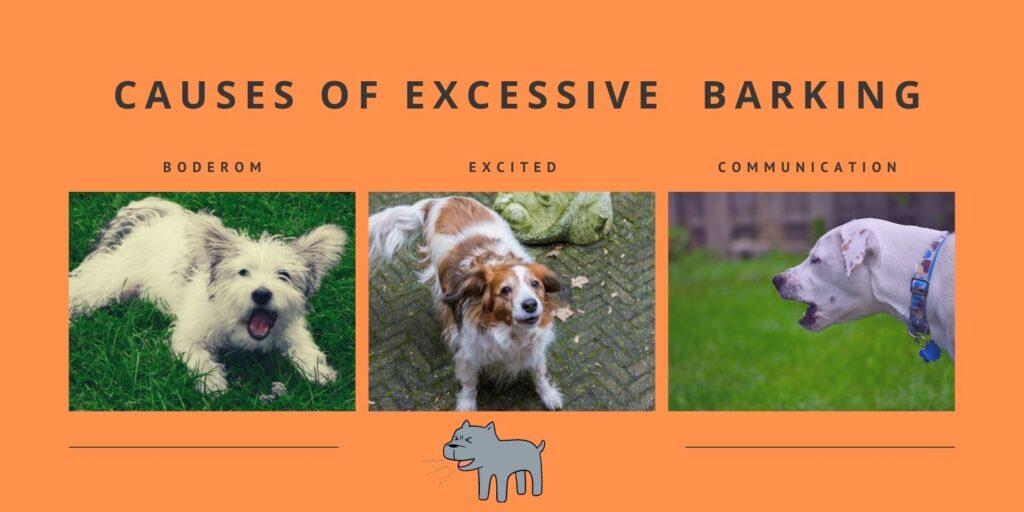 causes of excessive or inappropriate barking