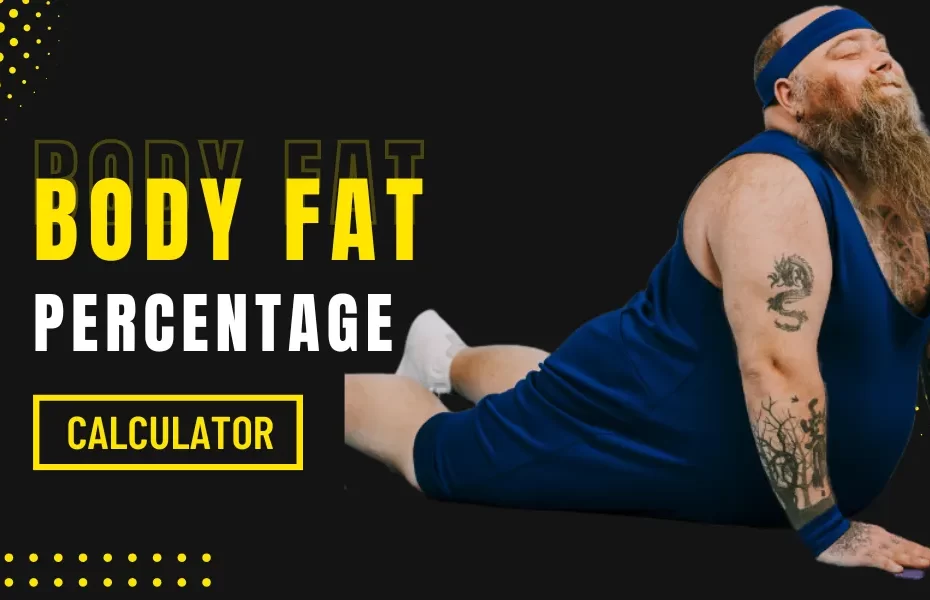 Body Fat Percentage Calculator, BMI Calculator for Adults