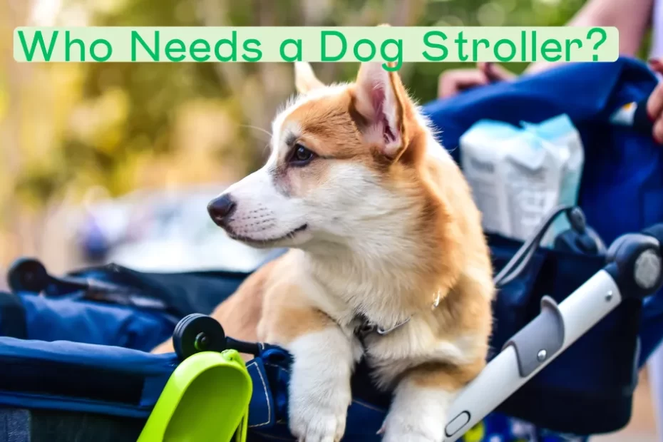 dog stroller, Who Needs a Dog Stroller?