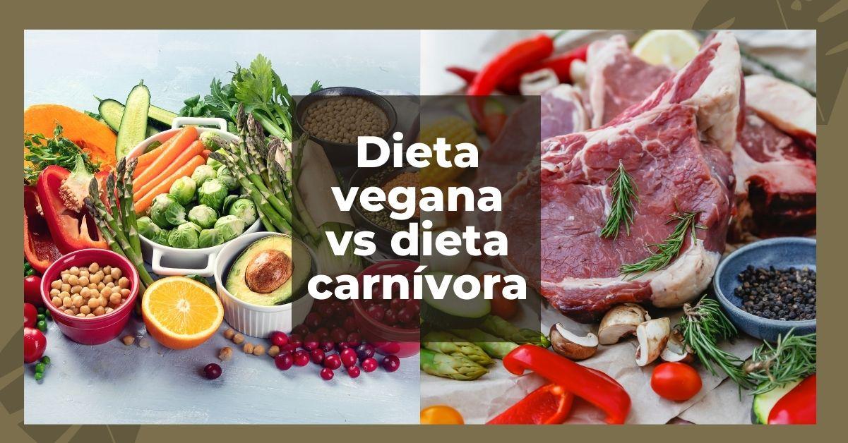 Alimentación Saludable Dieta Vegana O Dieta Carnívora 5569