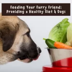 healthy food 4 dogs