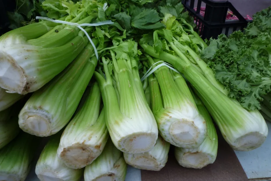 celery fiber