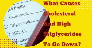 Cholesterol lowering diet