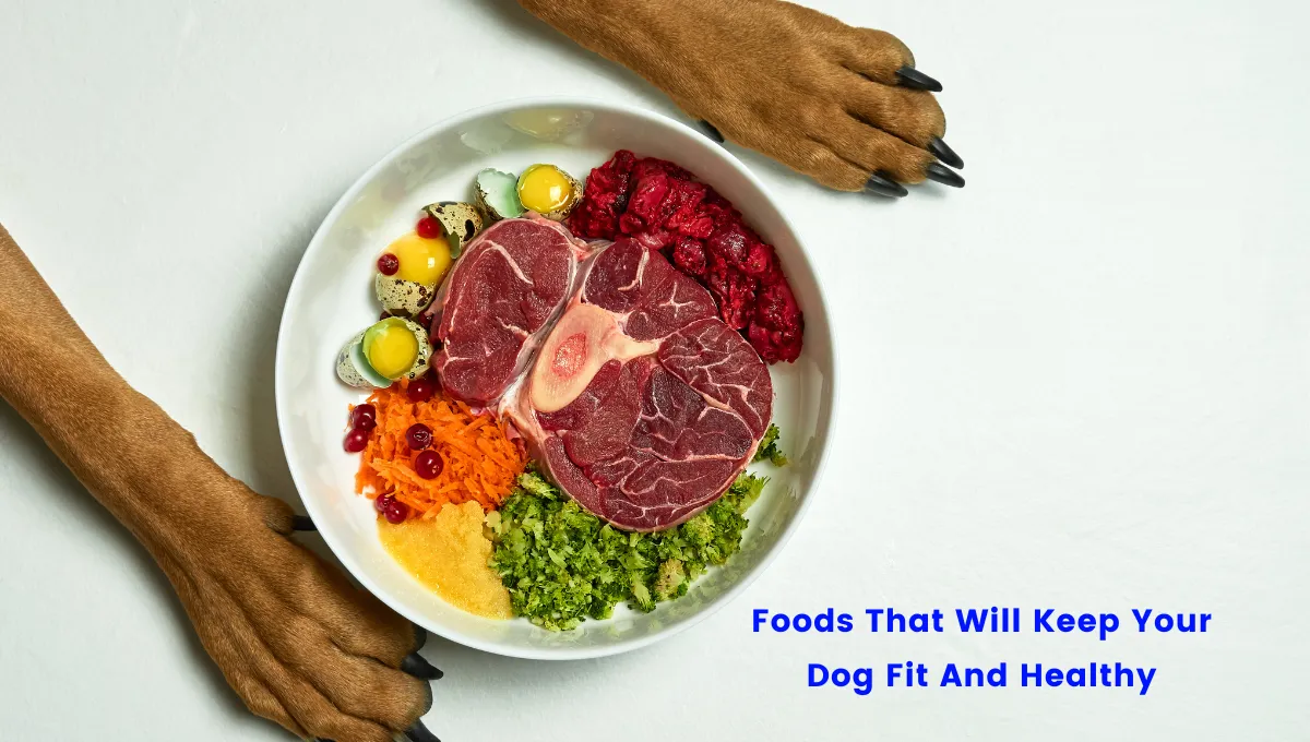 Toxic Foods For Dogs