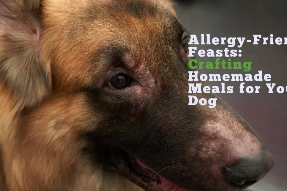 Diet Essentials for Allergy Dogs