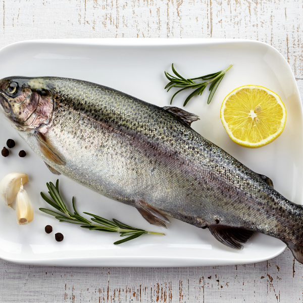 trout - healthy fish to eat