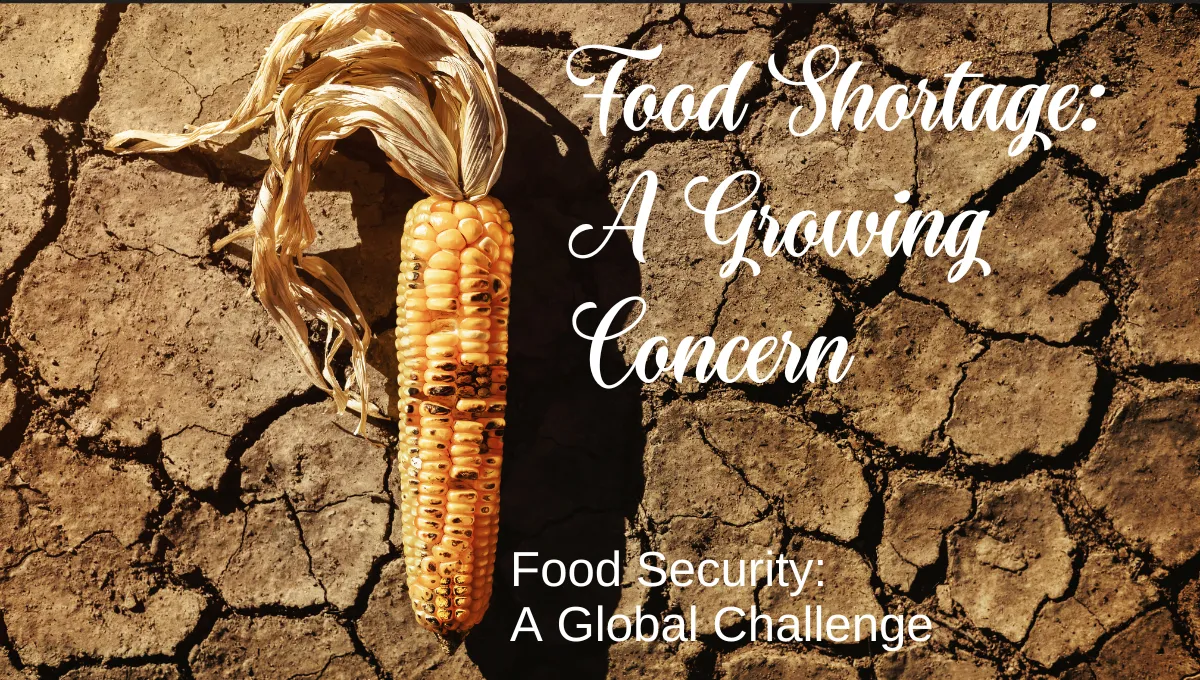 global food insecurity, innovative foods