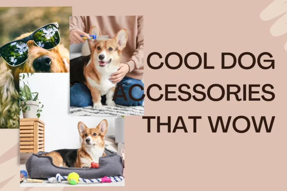 Cool accessories for dog