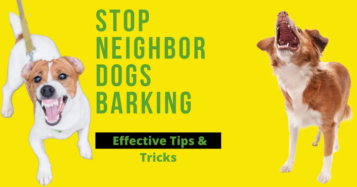 Stop Neighbor Dogs Barking