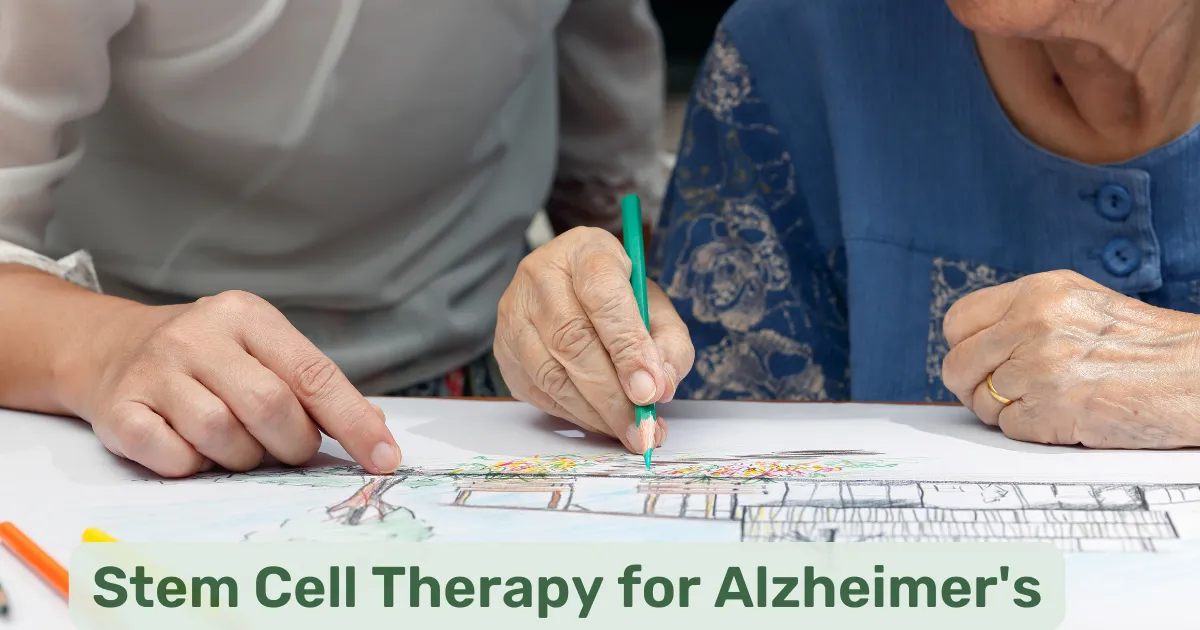 Stem Cell Therapy, Stem Cell Therapy For Alzheimer's, Alzheimer's Stem Cell Research