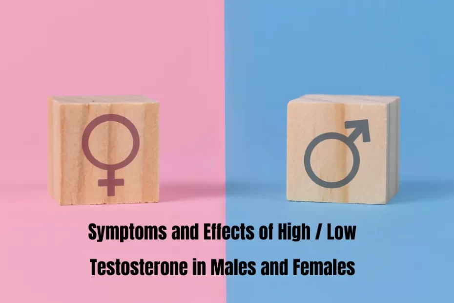 Testosterone levels in males and females, Gender differences in testosterone, Male and female hormone variations