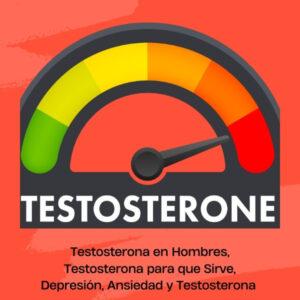 obesidad, testosterona, prostate cancer