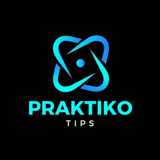 praktikotips Logo 512512