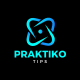 PraktikoTips Logo - New