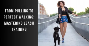 leash training dog