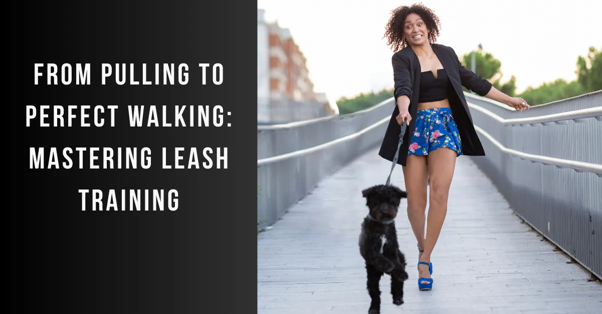 leash training dog