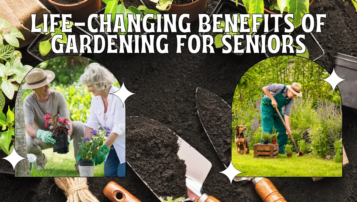 benefits of gardening for seniors, gardening for seniors