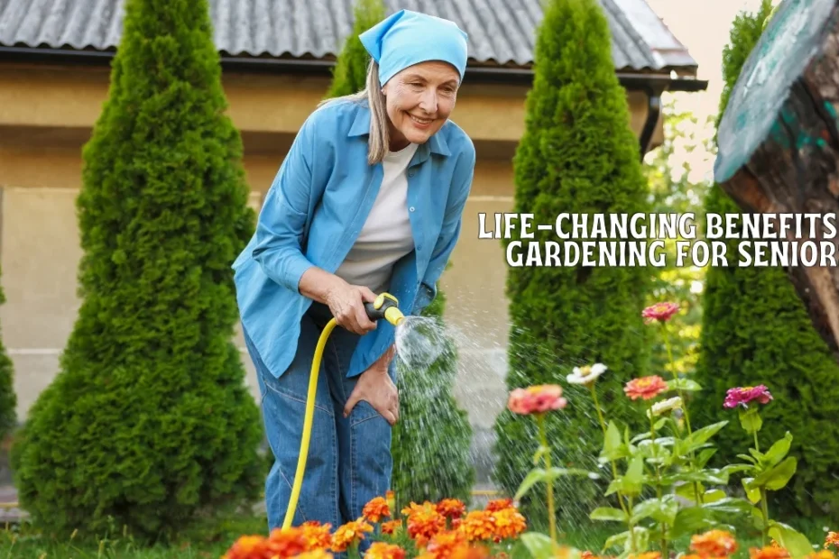 benefits of gardening for seniors, gardening for seniors